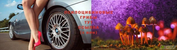 прущие крисы Магадан